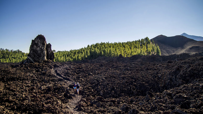 wandelnieuws pr tf 43 garachico montana chinyero gal03