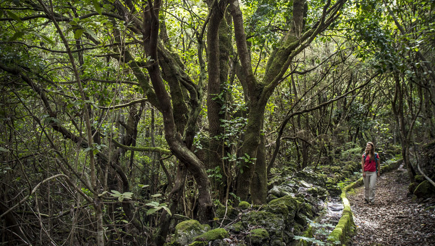 wandelnieuws pr tf 53 silos cuevas negras erjos gal01