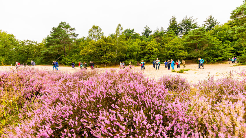 wandelnieuws soesterwandelweekend zaterdag sjoerd 4194 1