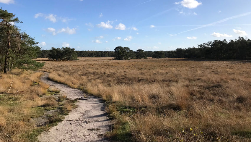 heuv2023 heideveld lv