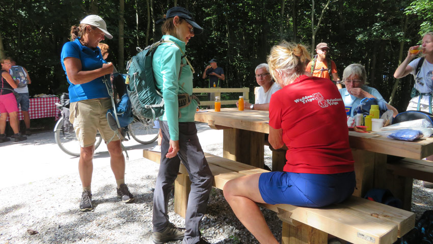 wandelnieuws frieslandbeweegt picknicktafel