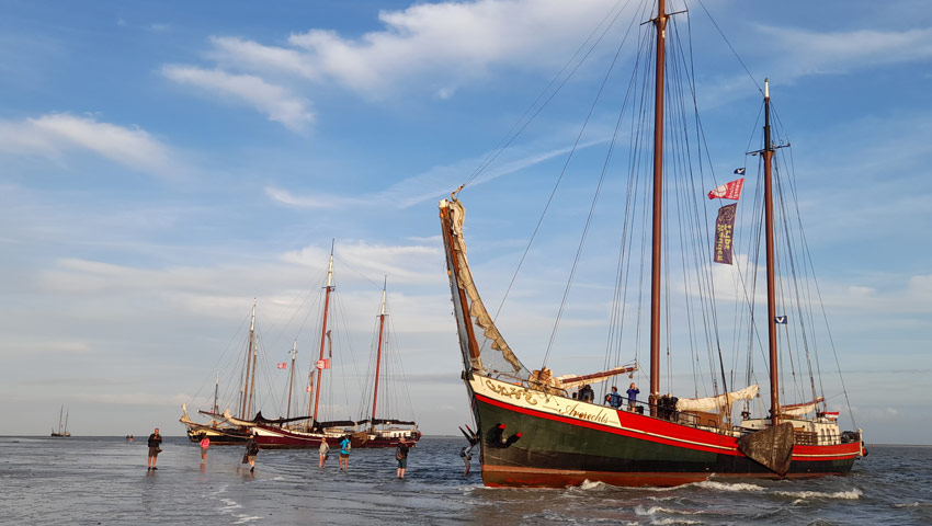 wandelnieuws frieslandbeweegt vloot 