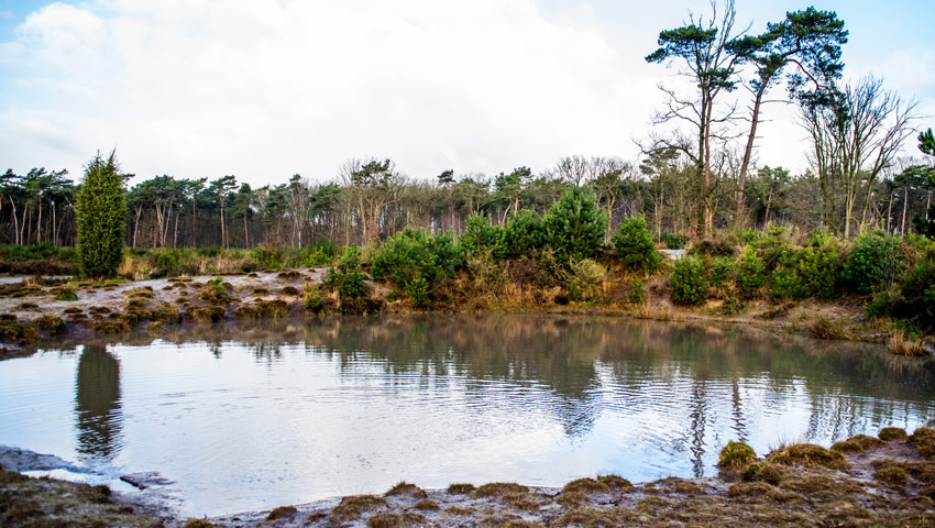 wandelnieuws loonopzand loonscheland 13