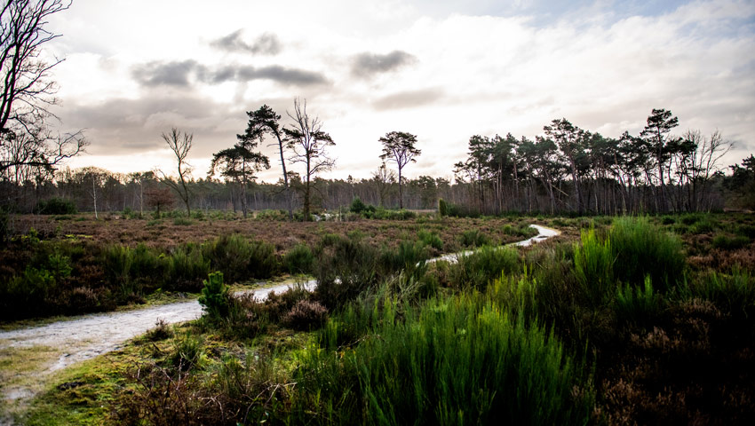 wandelnieuws loonopzand loonscheland 15