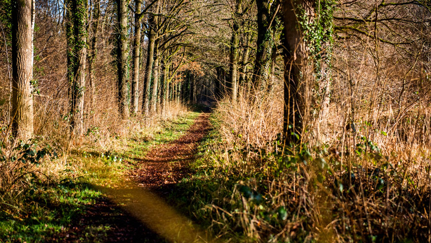 wandelnieuws loonopzand debrand 07