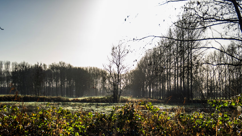 De Brand Loon op Zand