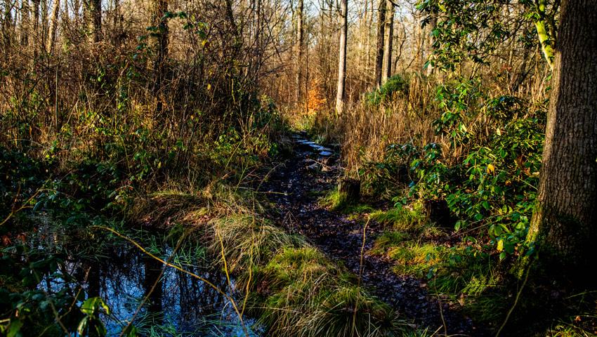 wandelnieuws loonopzand debrand 14