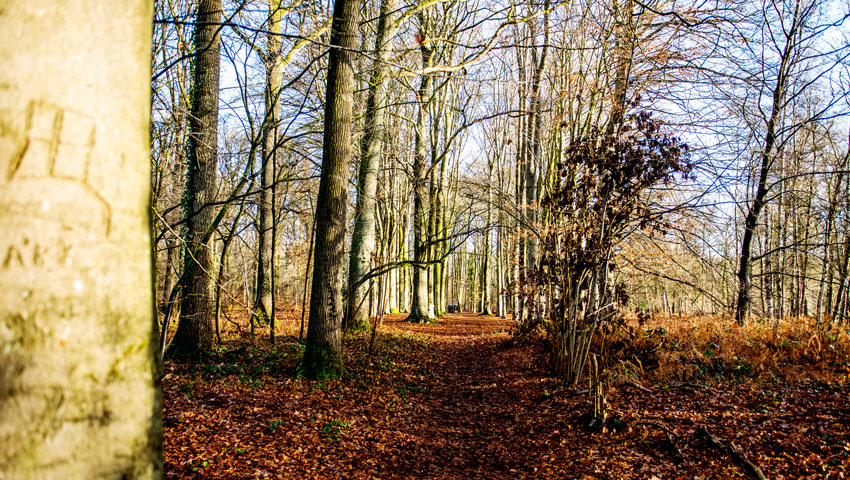 wandelnieuws loonopzand debrand 20