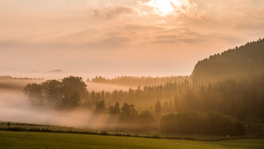wandelvakantie nebelstimmung schmalllenberger sauerland tourismus klaus peter kappest
