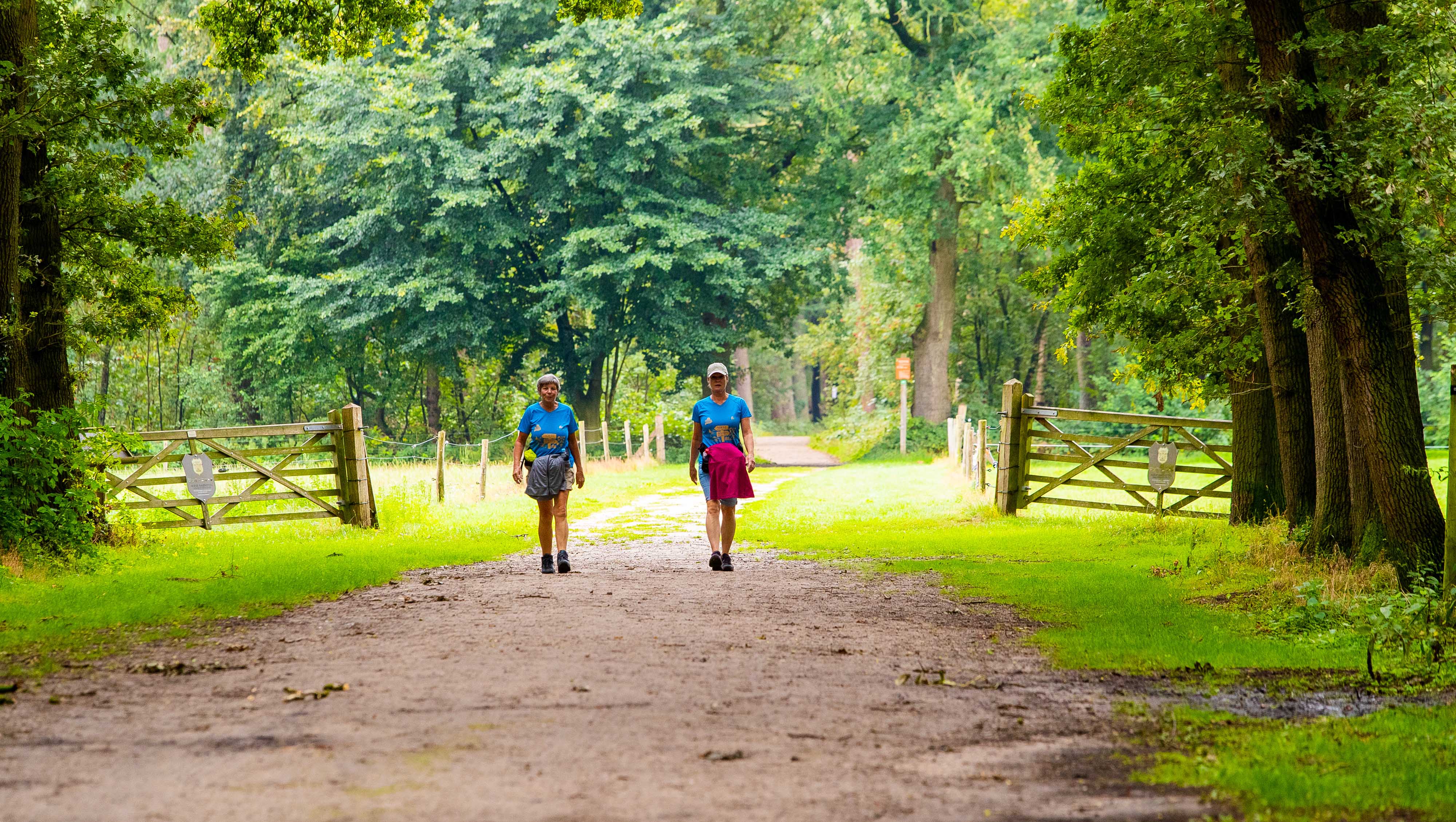 wandelnieuws soesterwandelweekend 4