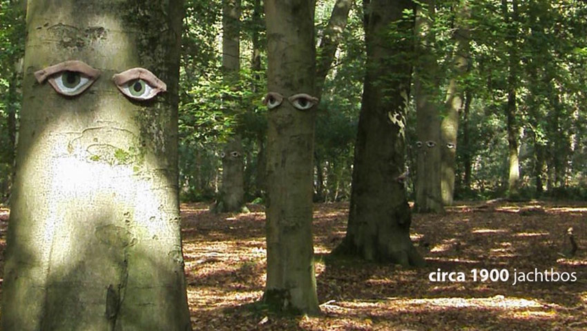 wandelnieuws nb jachtbos