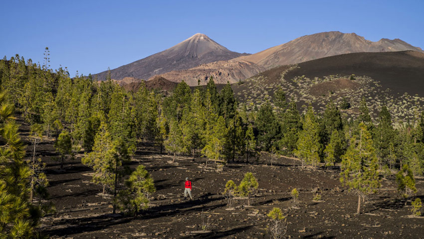 wandelnieuws tenerife samarawandelaar 2