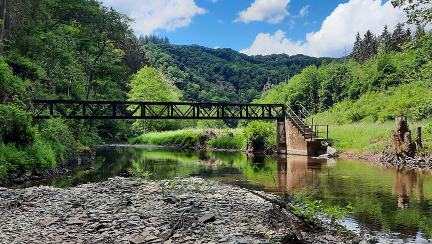 wandelnieuws tonneman 2