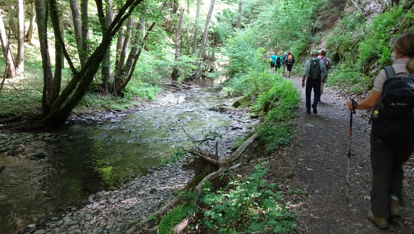 wandelnieuws tonneman 3