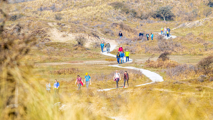 wandelnieuws 30 van zandvoort 5