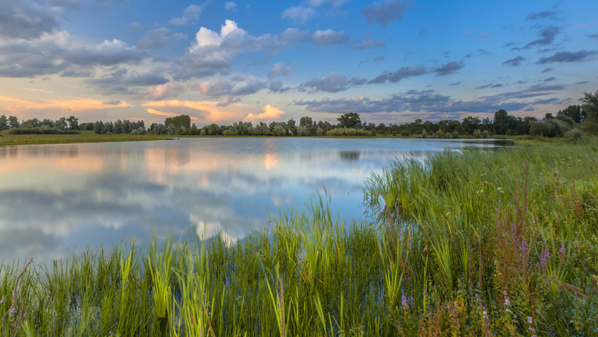 Blauwe Kamer bij Rhenen © foto Shutterstock
