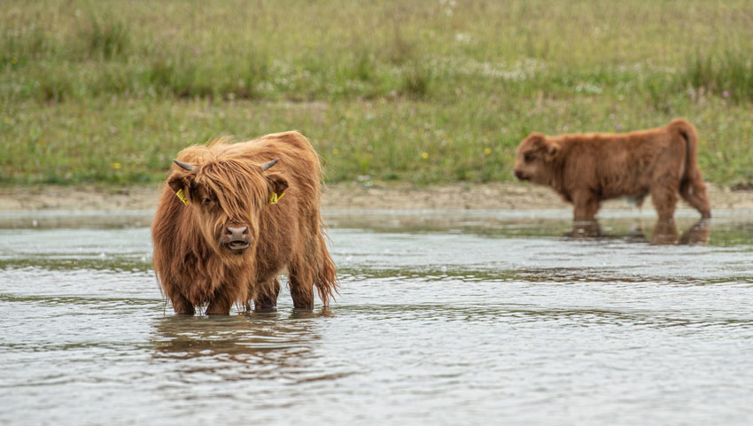 wandelnieuws de moer 5
