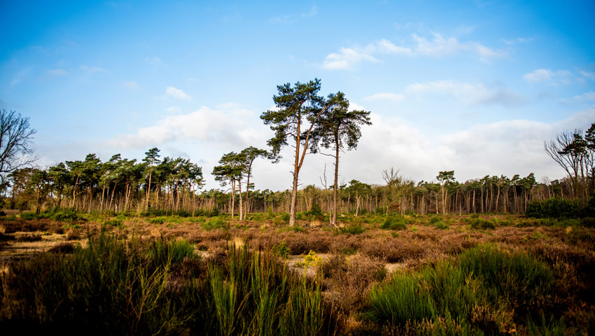 wandelnieuws loonse land 4