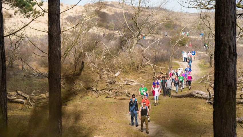 wandelnieuws spark 30vzandvoort3 coenvantartwijk 418460 lg