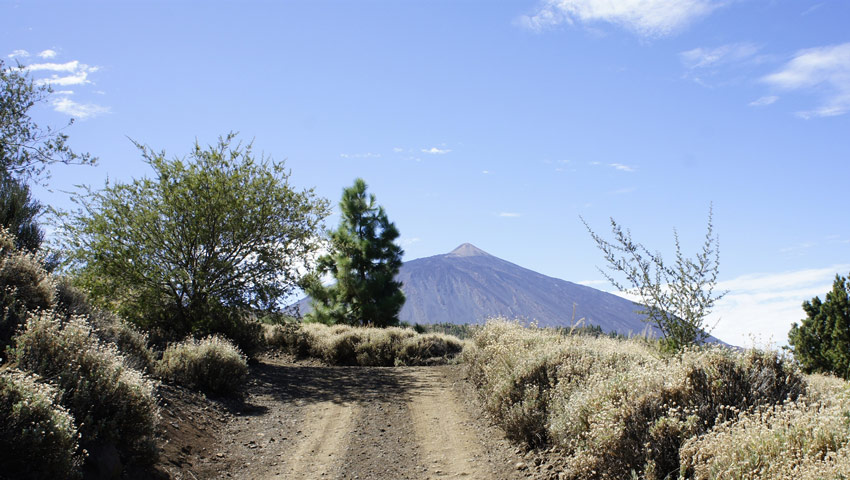 wandelnieuws tenerife ruta 040 4