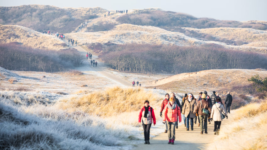 wandelnieuws egmond wandel marathon vorst in de duinen1