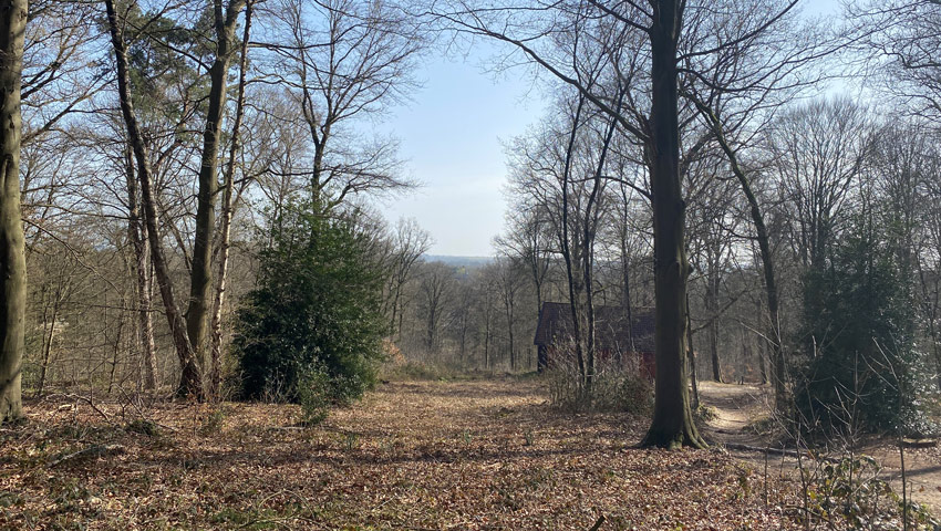 wandelnieuws lochem foto 4 winters uitzicht kale berg