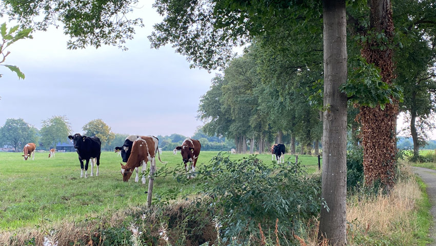 wandelnieuws laorns enkenpad herfst 2022 19