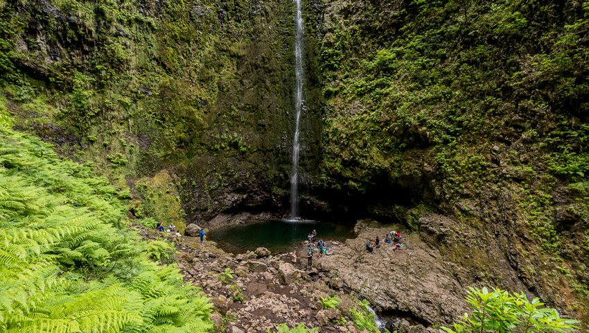 wandelnieuws madeira pr 9 levada do caldeirão verde 012francisco correia