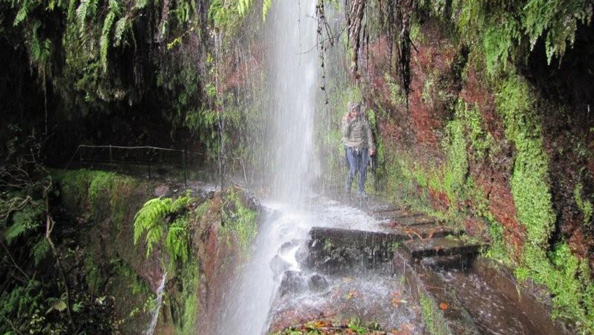 wandelnieuws madeira levada do rei5 c raimundo quintal