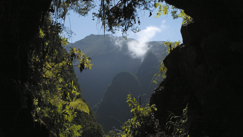 wandelnieuws madeira pr 9 levada do caldeirão verdevisitmadeira