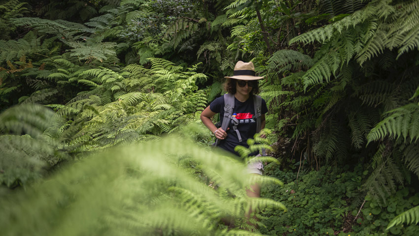 Het is werkelijk prachtig wandelen over de Levada das Funduras © foto Francisco Correia