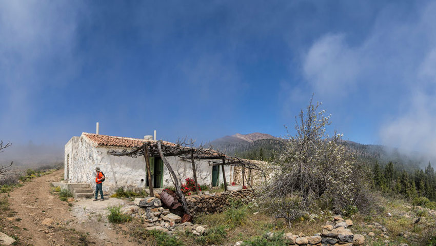 wandelnieuws tenerife pr tf 83 1 las vegas escurriales gal05