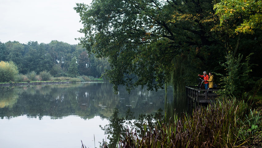 wandelnieuws utrecht steiger maarsseveense plassen fietsers herfst by manja herrebrugh