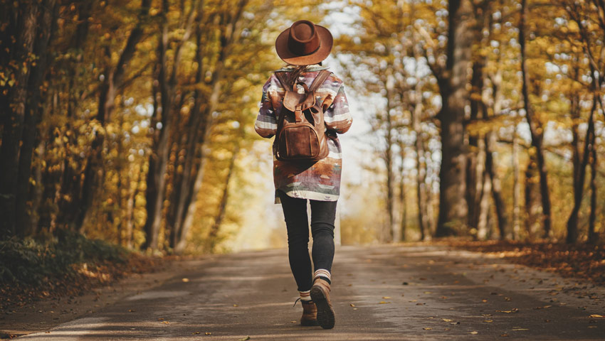 wandelnieuws utrecht herfst wandelen shutterstock 2065551173