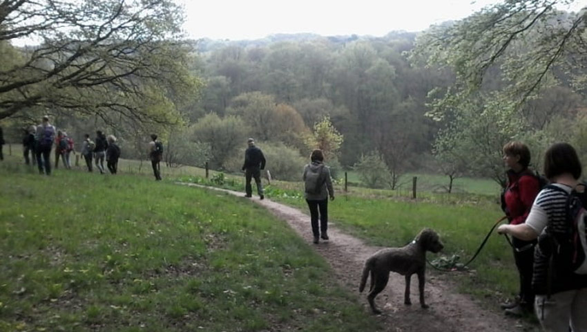 wandelnieuws walk of wisdom inspiratiewandeling gemaakt door manja