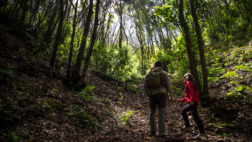 wandelnieuws sendero erjos las portelas monte del agua 2