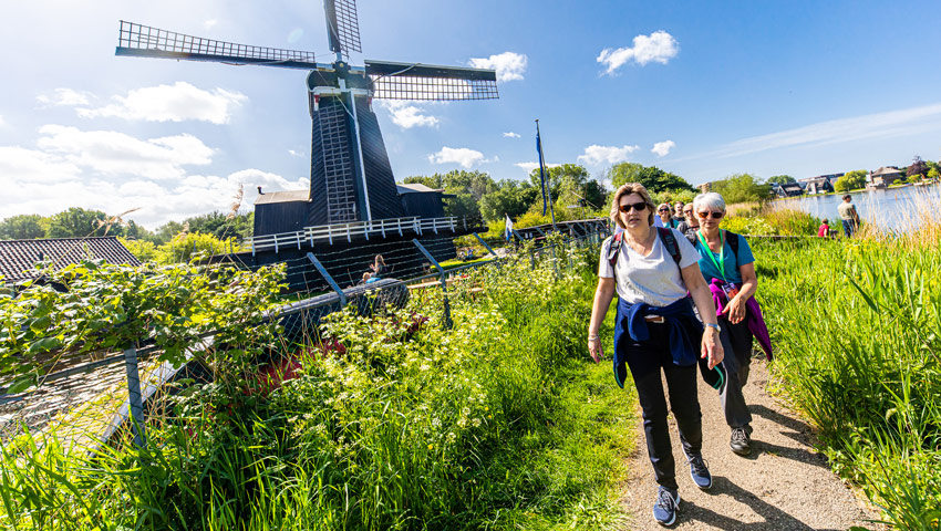 wandelnieuws haarlem city walk 3