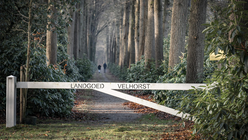 wandelnieuws velhors jorrit van de kolk