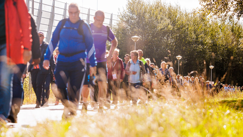 wandelnieuws dam dam 6