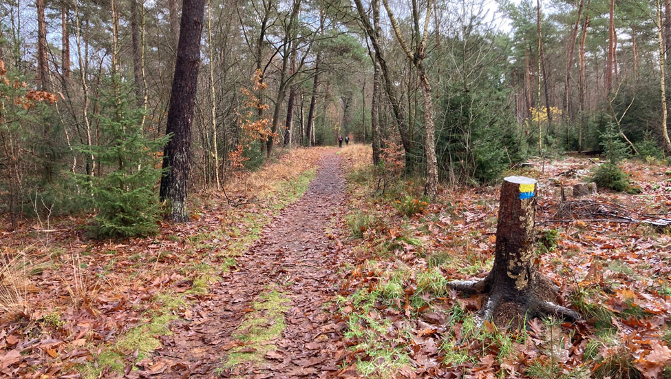 treek halveboomstam markering 20 25km