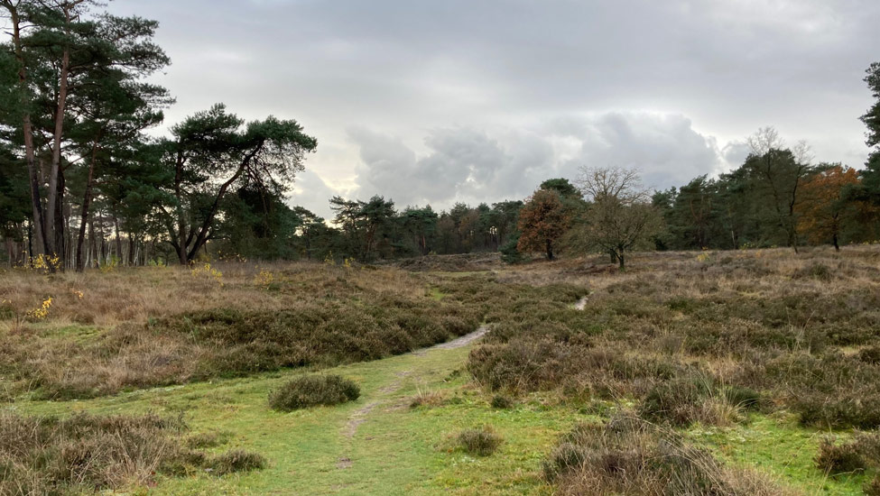 treek hei duitsehuis 25km