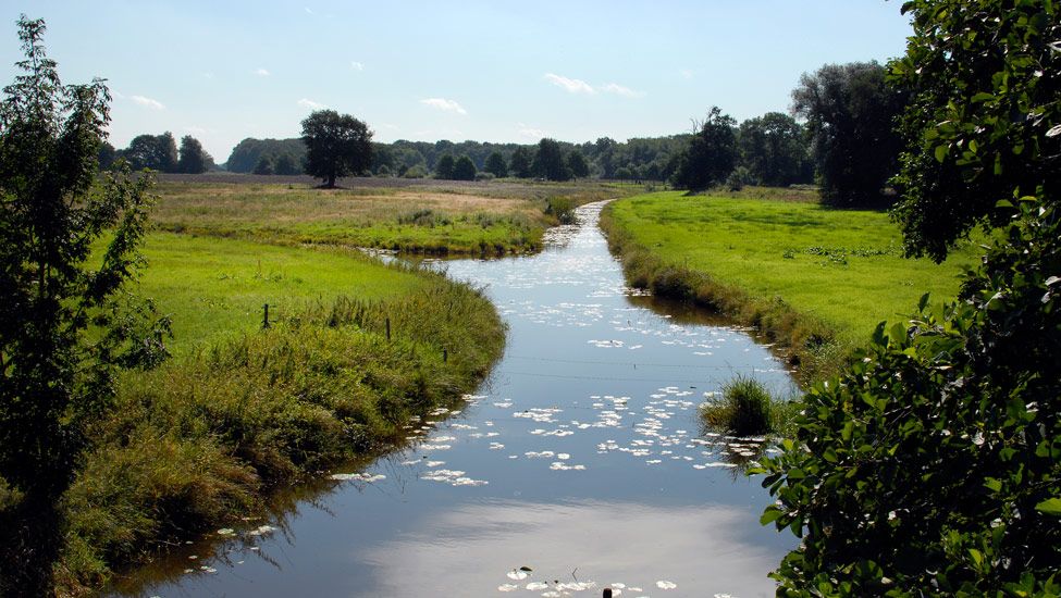 wandelnieuws ruiten aa shutterstock