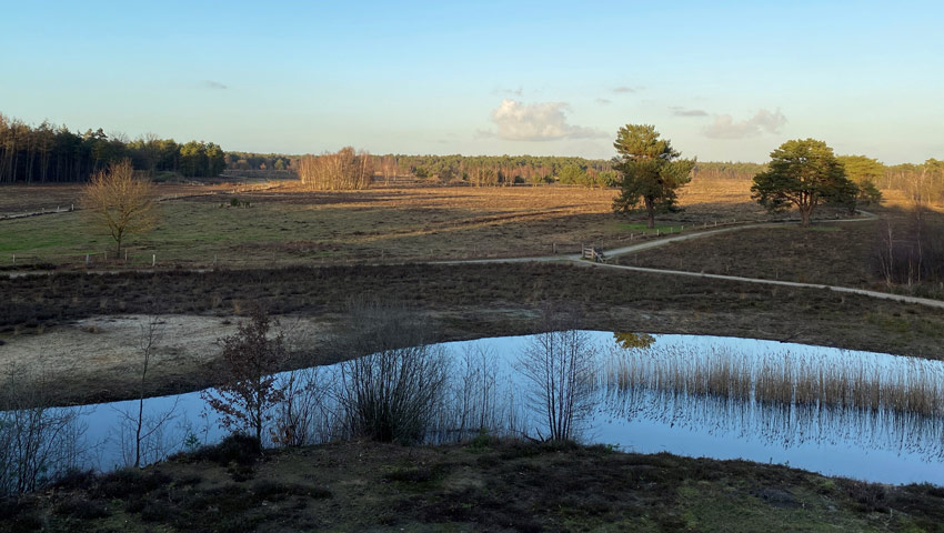 wandelnieuws 6 gorsselse heide
