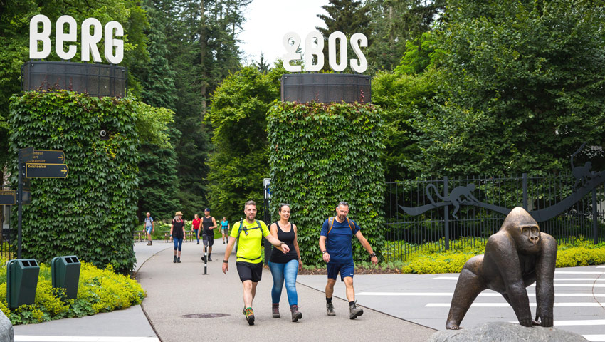 wandelnieuws apeldoorn4daagse foto 3