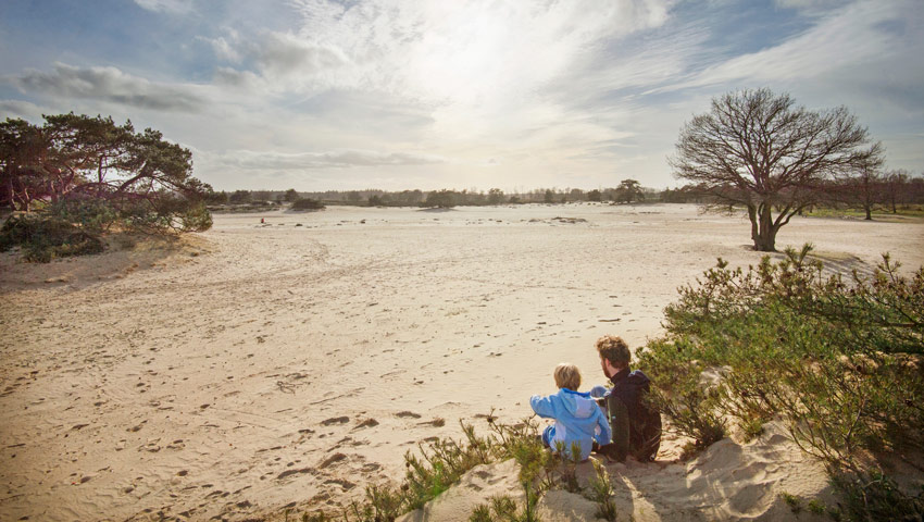wandelnieuws drents friese wold marcel van kammen