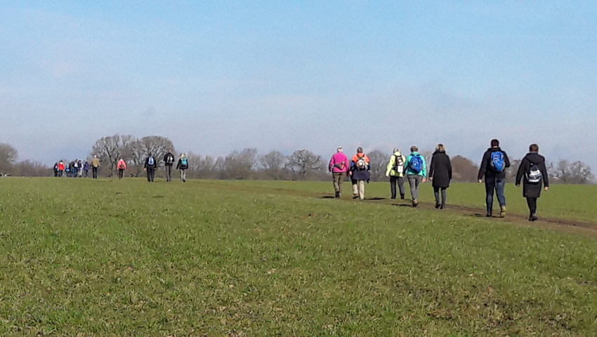 wandelnieuws gramsbergen 1