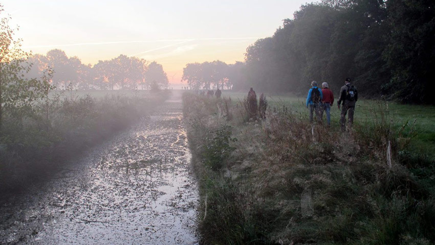 wandelnieuws todn langs water