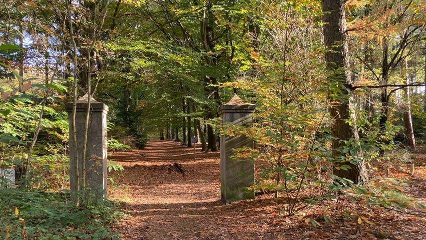 heuv2023 noordhout betonnen palen