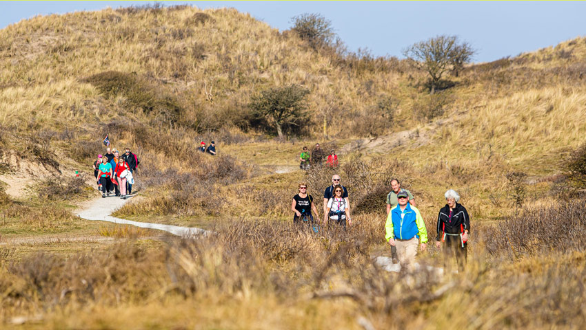 wandelnieuws 30 van zandvoort duinen