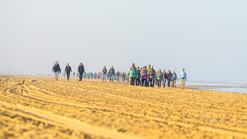 wandelnieuws 30vanzandvoort strand